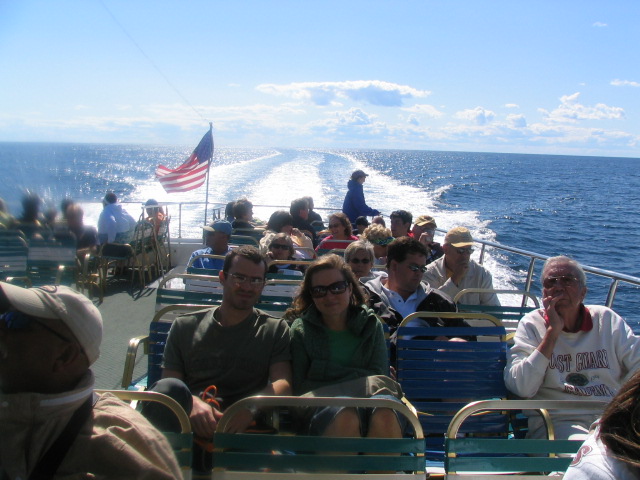 Whale watching - Atlantic ocean